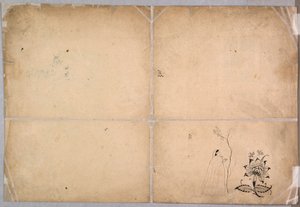 Two Elephants Fighting in a Courtyard Before Muhammad Shah by Nainsukh