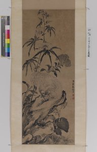 Rooster On Rock, Among Flowers