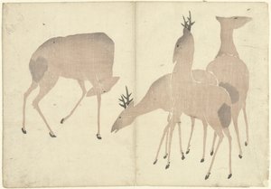 Four Deer