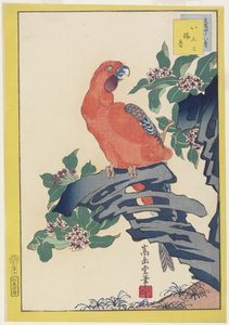 Pink Parrot on Rock, 1859
