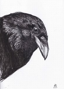 Crow or Raven, 2020 by Nancy Moniz Charalambous
