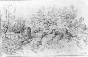 Forest View