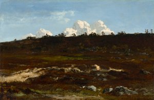 Heath. Sloping Terrain near Apremont with Sand Furrow