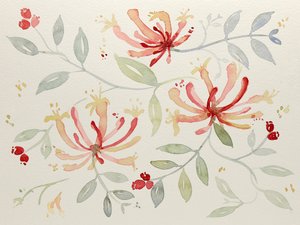 Delicate Watercolor Botanicals