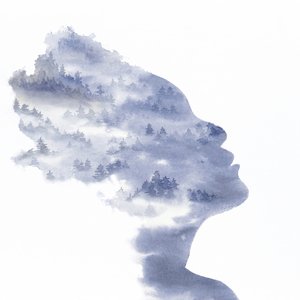 Serene Forest Silhouette