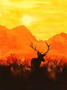 Sunset Stag Silhouette by Natalie Bruns