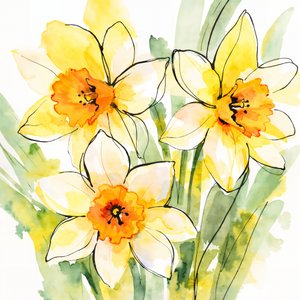 Yellow Daffodils in Bloom