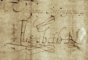 Signature of Queen Elizabeth I by Nathan Benn