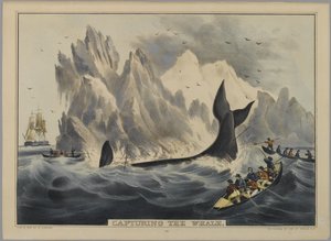 Capturing the Whale by Nathaniel Currier