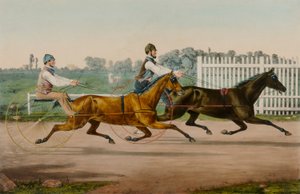 Flora Temple and Highland Maid