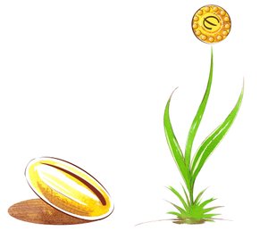 Seed and shoot - illustration of financial allegory by Neale Osborne