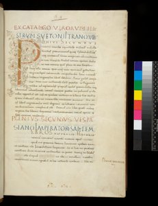 Ms 394.1. Pliny the Elder, Historia Naturalis, f.1r. Illuminated Initial [P] with White Vine-Stem Decoration (unfinished), Naples, mid 15th century, c.1442 by Neapolitan School