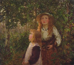 In the Forest