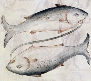 Drawing of Pisces, from a Translation of a Persian Astrological Treatise by Jafar ibn Muhammad by Netherlandish School