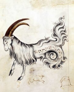 The zodiac sign Capricorn