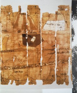 Fragments of the Turin Map