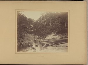 Upper Nepean by New South Wales Government Printing Office