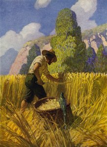 Illustration for Robinson Crusoe by Newell Convers (after) Wyeth