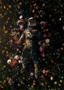 Cosmic Floral Dream by Nicebleed