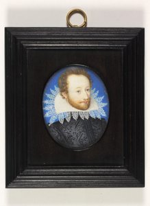A Gentleman Called the Earl of Essex