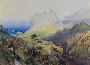 Coastal Scene