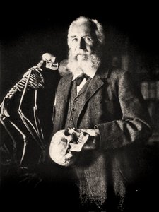 Portrait of Ernst Haeckel next to the skeleton of a monkey, c.1860