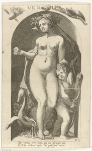 Venus by Nicolaas Braeu