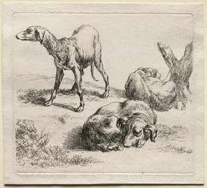 Three Hunting Dogs by Nicolaes Berchem
