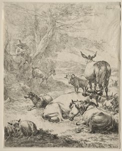 The Herd at Rest