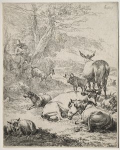 The Herd at Rest