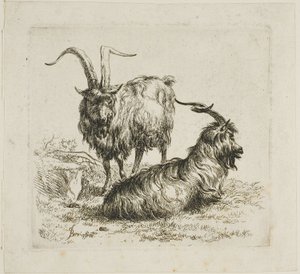 Two Goats with Large Horns (from Various Animals)