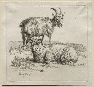 Ram and Goat