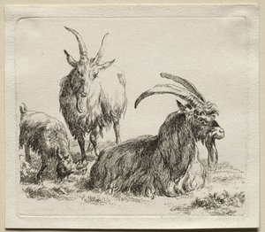 Three Goats