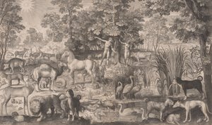 Adam and Eve in Paradise by Nicolaes de Bruyn