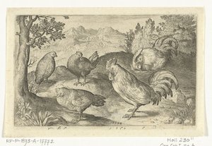 Three Chickens and Two Roosters