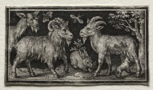 Goats and Hare by Nicolaes de Bruyn