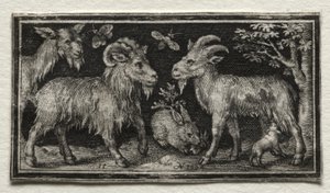 Goats and Hare by Nicolaes de Bruyn
