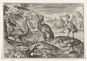 Crowned Crane Between Two Ostriches