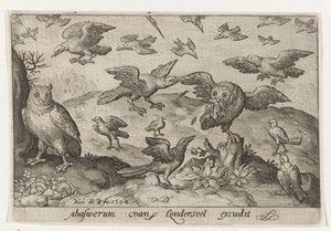 Owl with Prey Attacked by Other Birds (series: Birds and Insects)