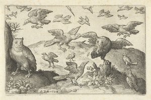 Owl with Prey Attacked by Other Birds