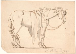 A Horse with a Blanket On
