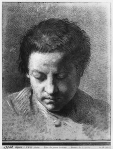 Head of a Young Man Looking Down