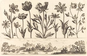 Flower Print No.1 by Nicolas Cochin after Balthasar Moncornet