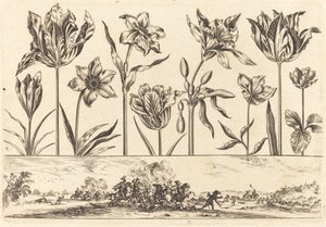 Flower Print No.2 by Nicolas Cochin after Balthasar Moncornet