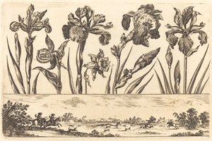 Flower Print No.3 by Nicolas Cochin after Balthasar Moncornet