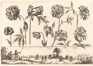 Flower Print No.7 by Nicolas Cochin after Balthasar Moncornet
