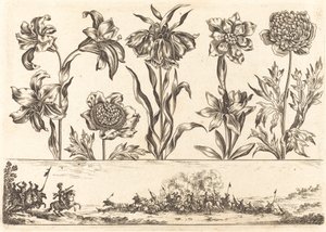 Flower Print No.8 by Nicolas Cochin after Balthasar Moncornet