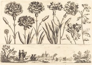 Flower Print No.9 by Nicolas Cochin after Balthasar Moncornet