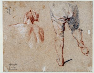 Study of anatomy by Nicolas Vleughels