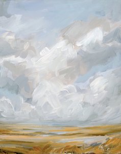 Expansive Cloudscape Landscape
